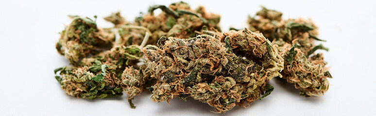 close up view of marijuana buds on white background, panoramic shot - obrazy, fototapety, plakaty