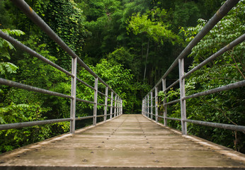 bridge crossing the forest in National Park of Thailand.