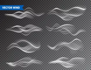 Foto op Aluminium Realistic Wind Set on Transparent Background. Vector Vapor in Air, Smoke Steam Flow. Fog, Mist Effect. © 32 pixels