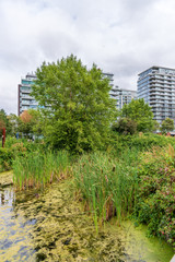 Modern Apartment Buildings in Vancouver, British Columbia, Canada.