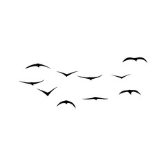 birds flying silhouette black vector