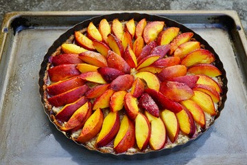Homemade vegan fruit tart with nectarines and frangipane almond cream