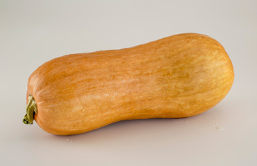 Orange color ripe butternut squash isolated