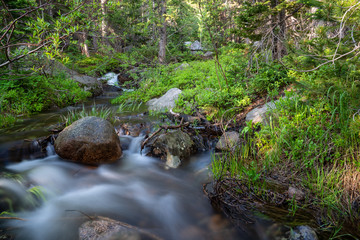 Long Exposure Shot of a Mountain Stream