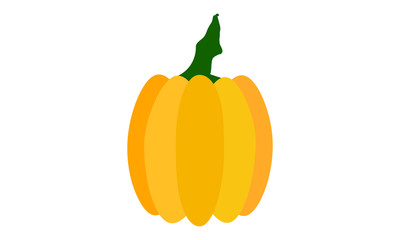 Orange pumpkin vector illustration. Autumn halloween pumpkin, isolated on white background ,vegetable graphic icon or print.