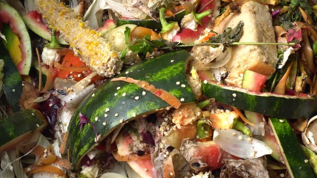 Compost box. Food loss reduction. Zero waste. Recycling and composting. Organic kitchen waste being thrown on a homemade compost in the garden. Natural gardening, waste sorting, food wast