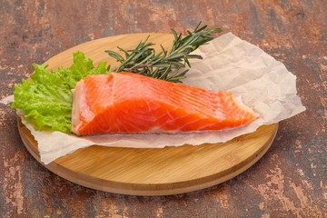 Piece of raw salmon