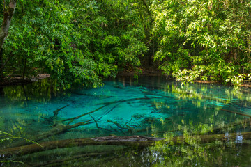 Obraz premium Emerald Pool (Sra Morakot) w prowincji Krabi, Tajlandia. Piękna scena natury z krystalicznie czystą błękitną wodą w tropikalnym lesie deszczowym.