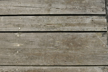 Dock Plank Close-up