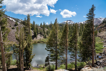 Ellery Lake along Tioga Pass road (State Route 120) in California Eastern Sierra Nevada Mountains in the summer