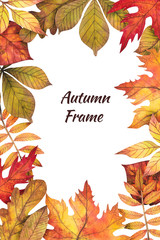 frame of autumn leaves painted by watercolor, isolated clipart, design of autumn themes. Autumn design