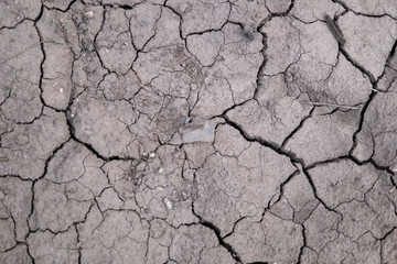  Cracked pattern of very dry soil