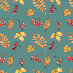 seamless pattern with autumn leaves on a white background, for decoration of autumn design and for scrapbooking.