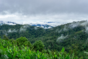 Fototapeta na wymiar High mountains with fog covered in tropical rain forest, Thailand, Ratchaburi
