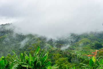 High mountains with fog covered in tropical rain forest, Thailand, Ratchaburi