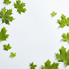 Creative maple leaves composition