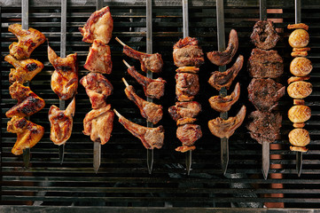 Set of Shish Kebabs or Barbecue Shashlik Collection on Charcoal Background