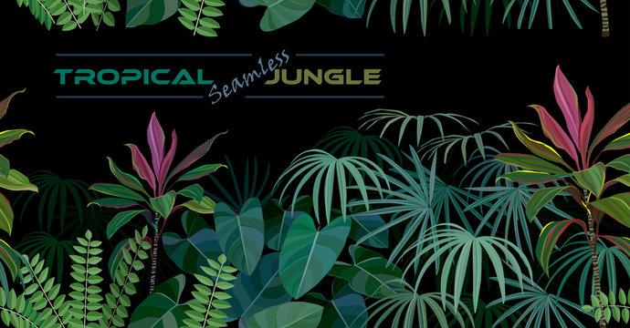 Seamless tropical forest with herbs, shrubs and many other plants.