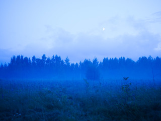 Fototapeta premium evening landscape with fog in a wild field