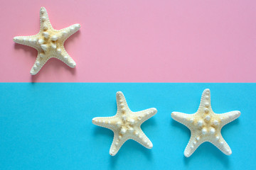 Fototapeta na wymiar Summer holiday concept with starfish on the blue-pink background.