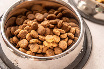 steel bowl full of dog food on marble table
