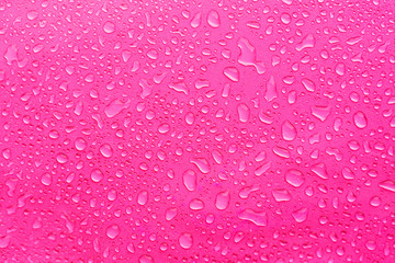 Water Drops On pink Background, Texture colorful waterdrop/