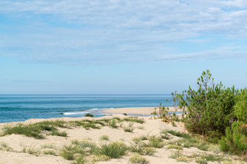 CAP FERRET (Bassin d'Arcachon, France), la pointe