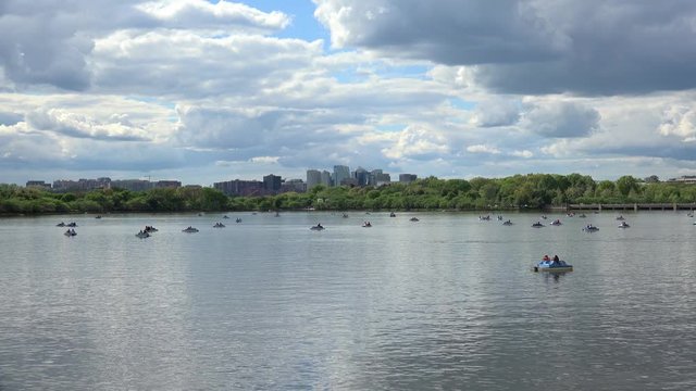 View of Tidal Basin with paddle boats and Washington downtown at background. Washington, D.C., USA. 