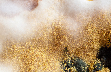 Macro shot of mold (aspergillus) on jam, view from above