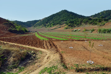 North Korea countryside landscape