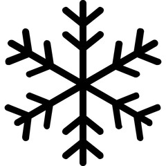 Multiple branches stellar dendrites shape snowflake symmetry