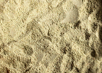 Organic ground Laurel - Laurus nobilis. Text space