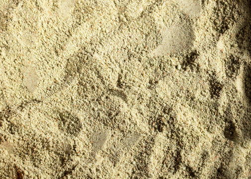 Organic ground Laurel - Laurus nobilis. Text space