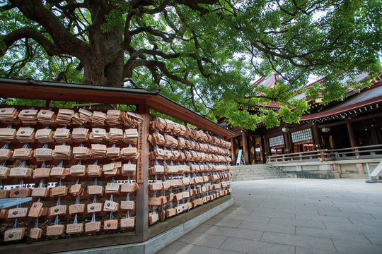 Meiji-Jingu