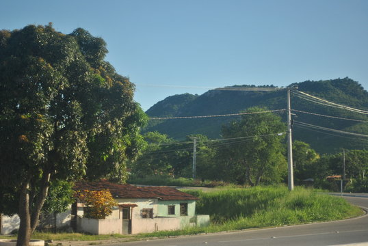 Dodi