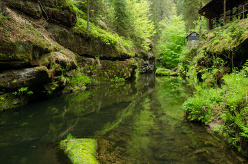 Naklejka na ściany i meble Edmund's Gorge (Edmundova soutěska), Bohemian Switzerland, Czech Republic
