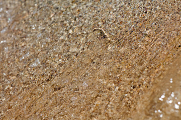 Beach macro clean waters Athens summer background fifty megapixels