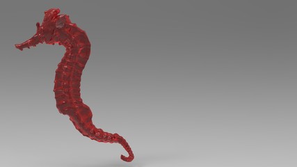 Red Seahorse glass on background gray, Hippocampus kuda. 3d render sculpting isolated. nature sea animals. HD image with copy space for your text © Andrea