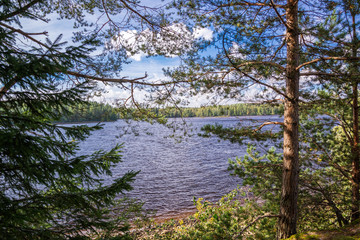 Wild nature of northwest Russia