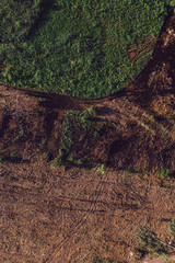 Aerial view of deforested landscape from drone pov