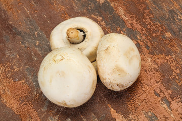 Raw Champignon heap for cooking