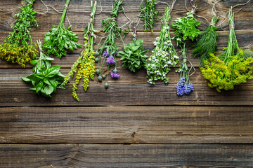 Bunches of herbs, freshly harvested herb from the garden