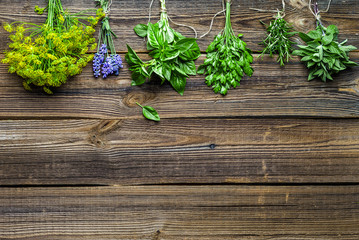 Assorted garden fresh herbs on wooden background