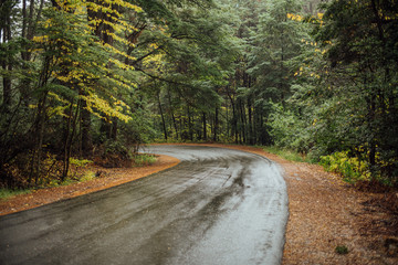  Wet road surrounded by the Patagonian forest, in the Circuito Chico de Bariloche, in the province...