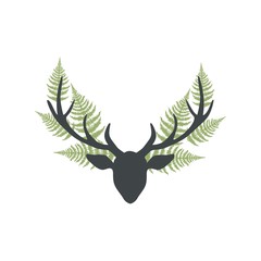 Fototapeta premium Deer horns and fern