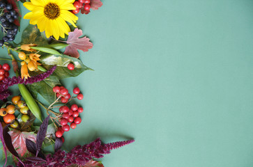Autumn composition. Maple leaves, flowers and rowan, berries on green background. Autumn, fall, halloween, thanksgiving day concept. Flat lay, top view, copy space. Still life.