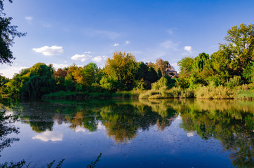Obraz premium beautiful autumn landscape, bright trees on the shore of a pond