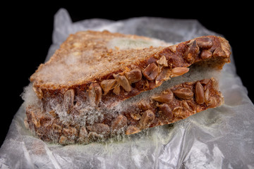 Moldy sandwich with smoked meat in a plastic bag. Dark bread with grains covered with white mold.