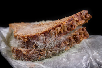 Moldy sandwich with smoked meat in a plastic bag. Dark bread with grains covered with white mold.