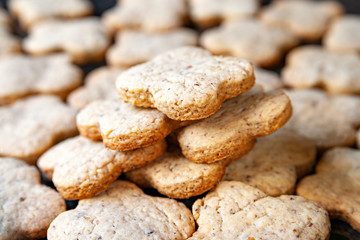 Fototapeta na wymiar Nuts cookies. Close-up of a lot of peanut cookies.